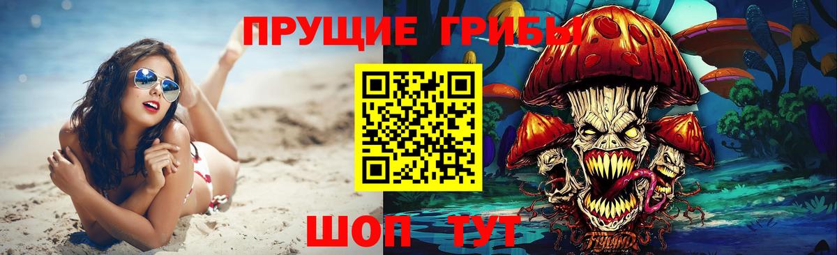 Торжок  Псилоцибиновые грибы GOLDEN TEACHER  Вход с VPN 